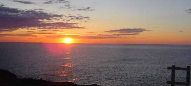 Local Links and Attractions